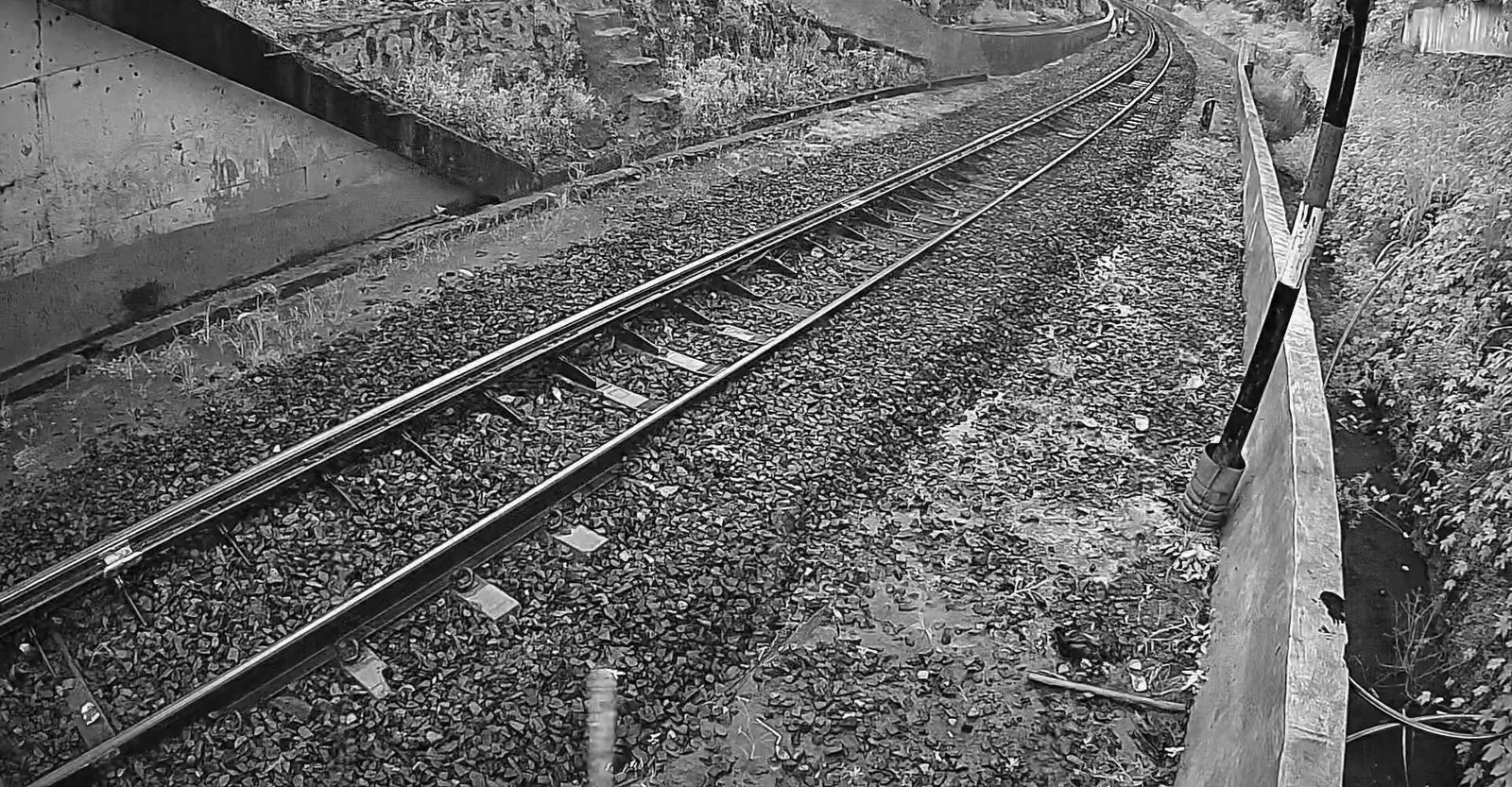 2026-05-06 06:02:36.jpg